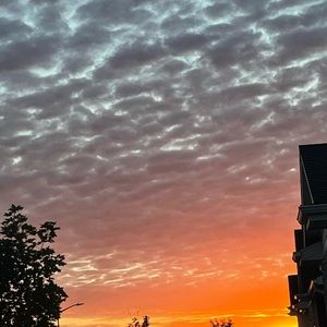 Meet your Posher, Hayden